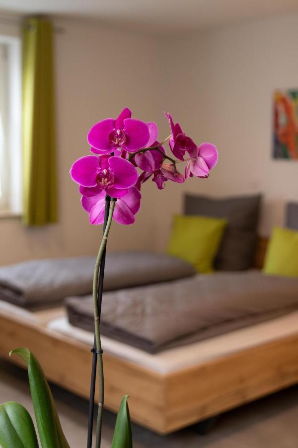 Apartment Alte Raiffeisenkasse Rothenburg Ob Der Tauber Extérieur photo